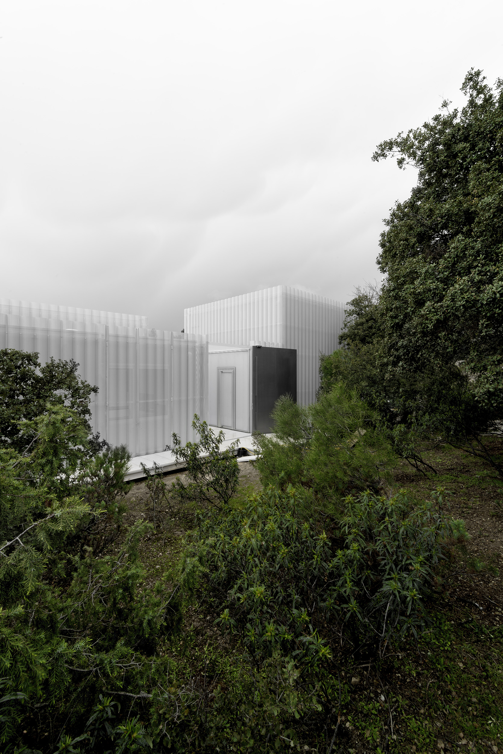 Conexión de la vivienda con la naturaleza