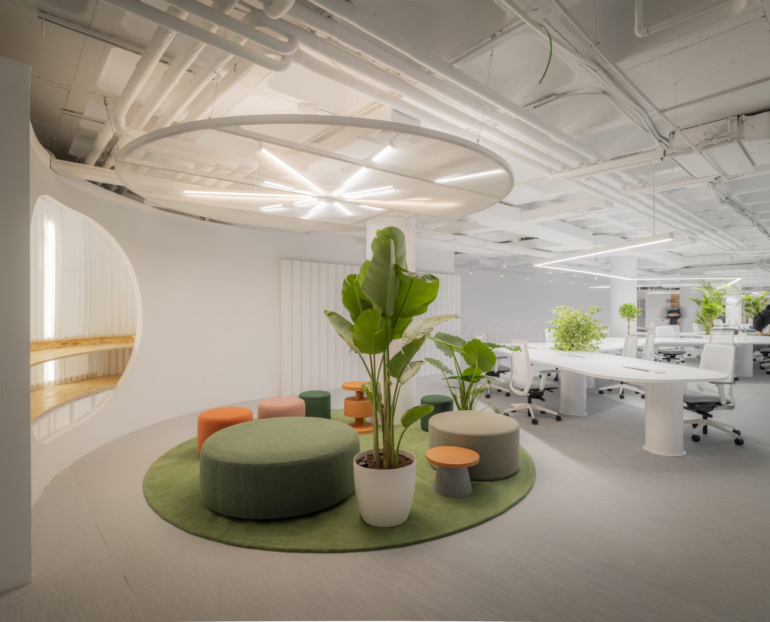 lounge corporativo y coffee area