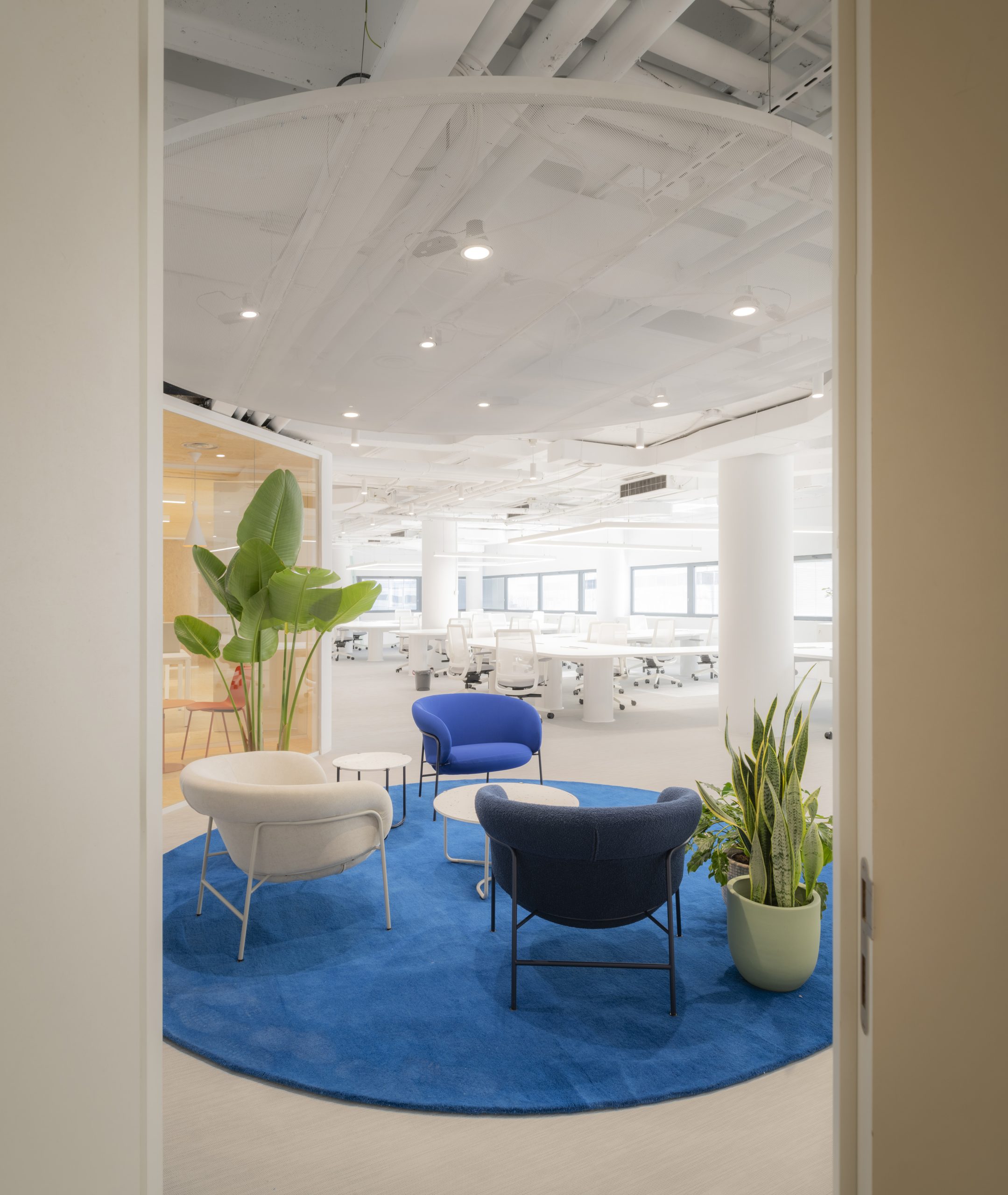 zona de descanso de color corporativo azul