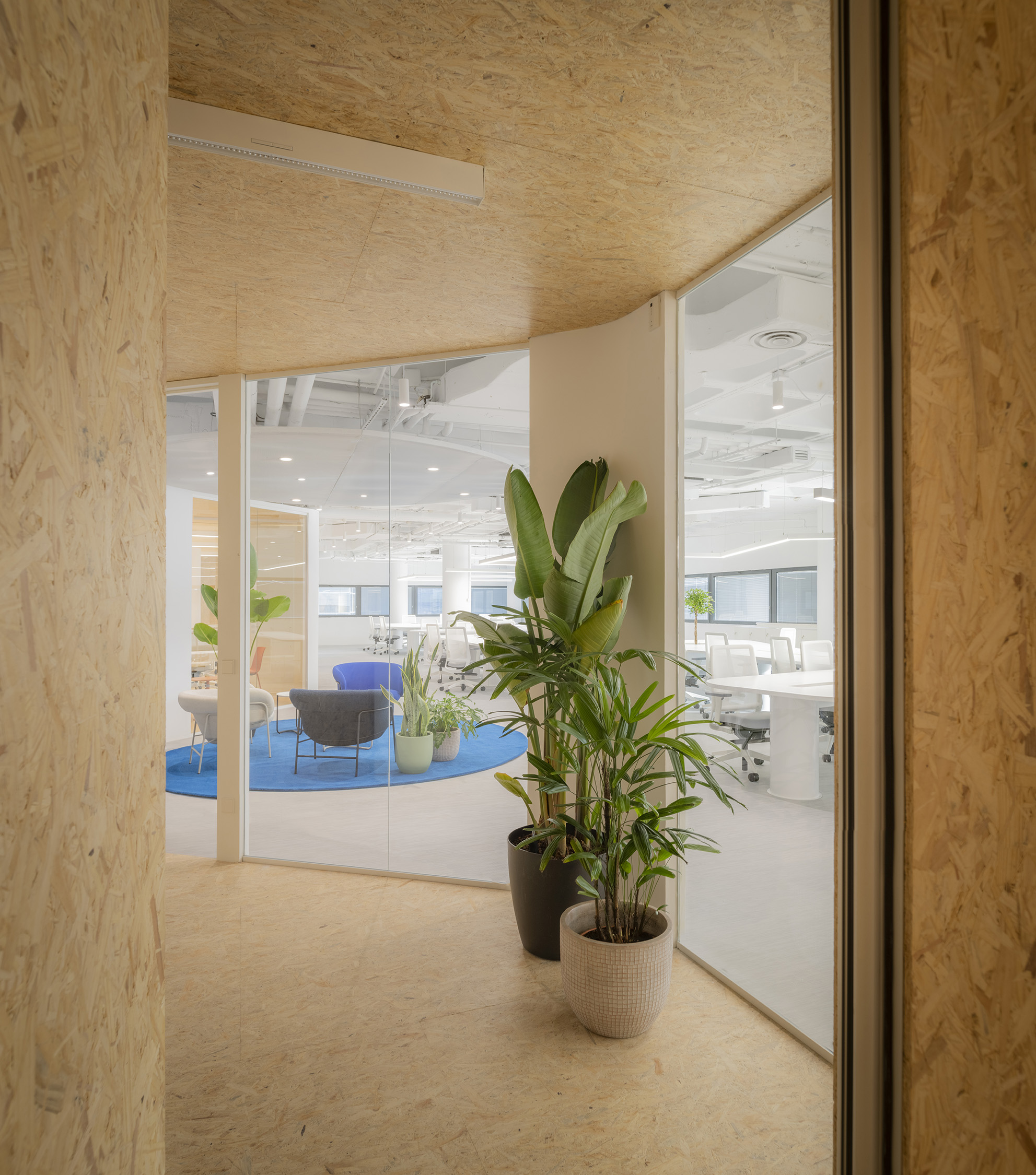 vegetación madera y oficinas