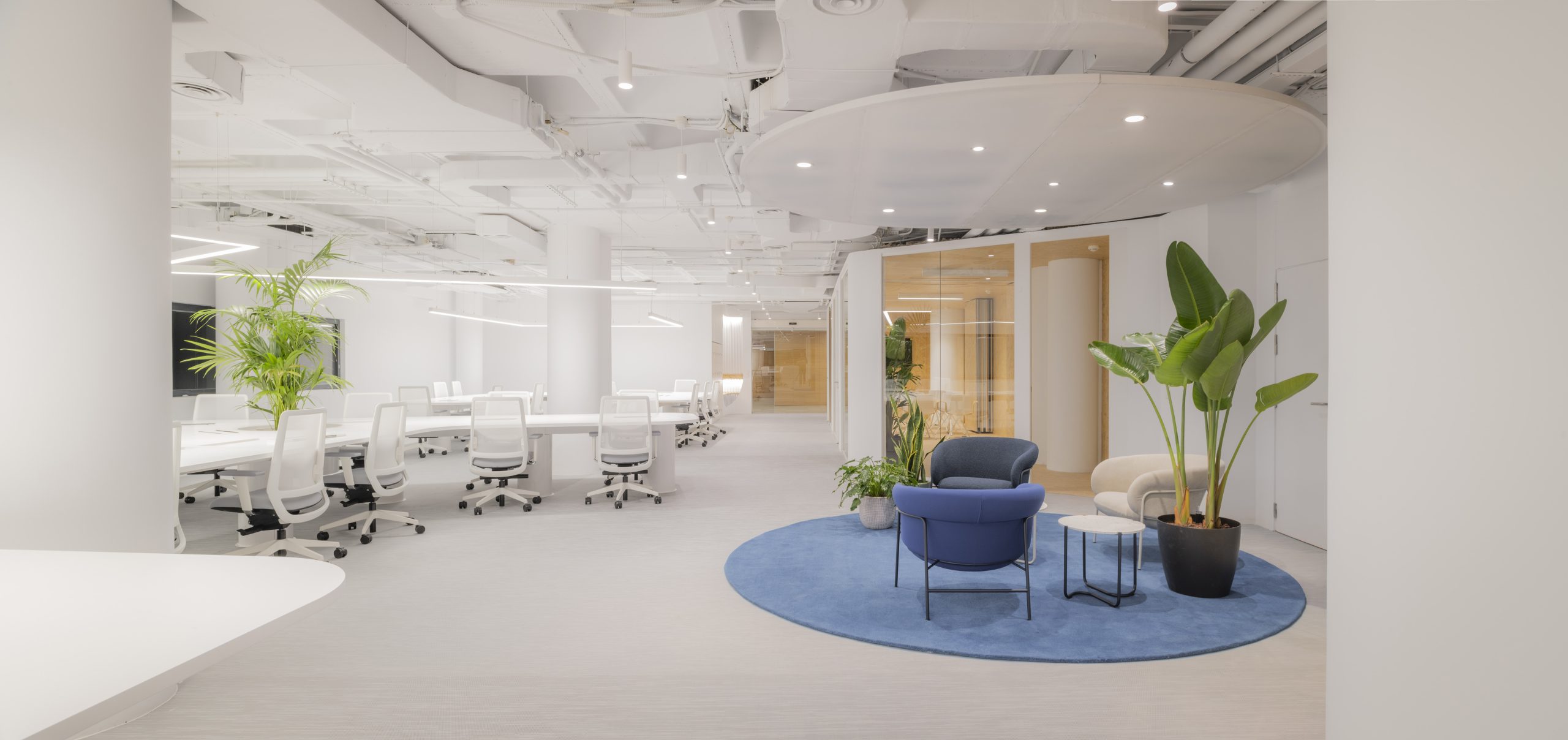 Diseño de oficinas para Trina Solar en Madrid